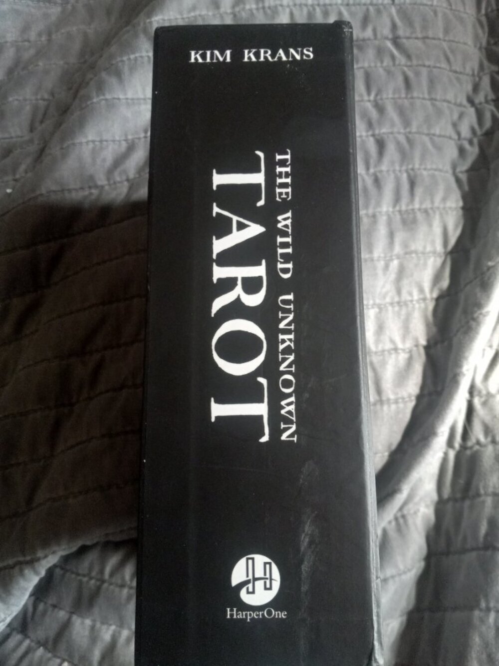 Tarot cards book The Wild Unknown